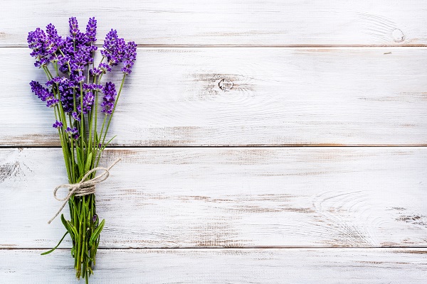 Purple flowers on wooden background