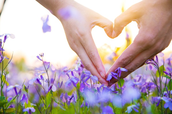 Heart made by hands with purple flowers