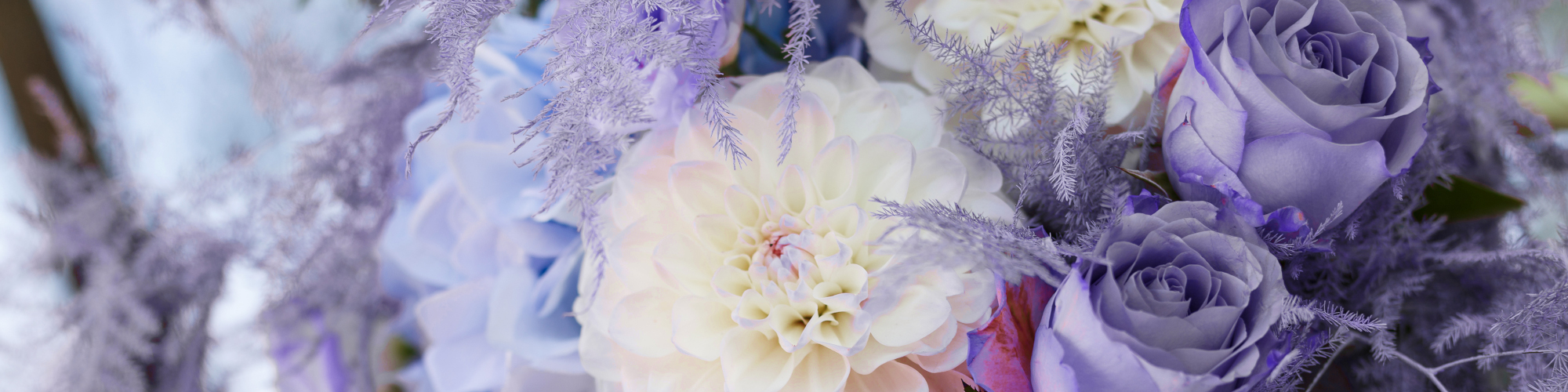 Peach and lilac flowers