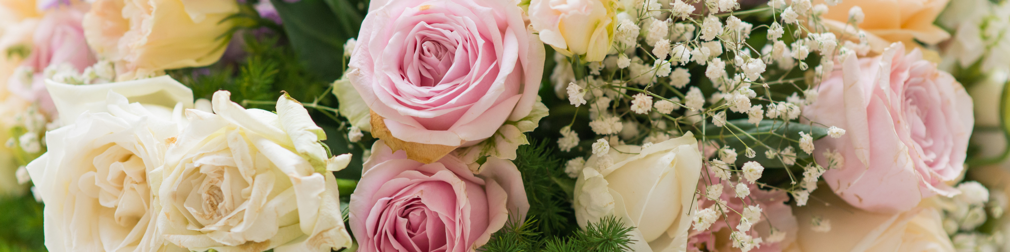 Pink and cream roses